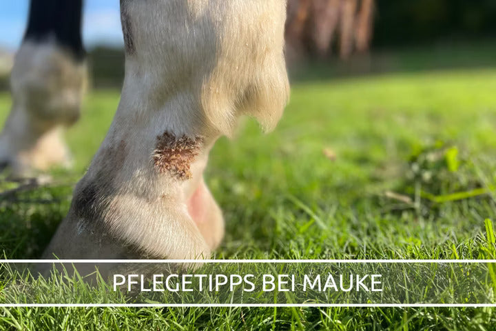 Was tun bei Krusten in der Fesselbeuge?