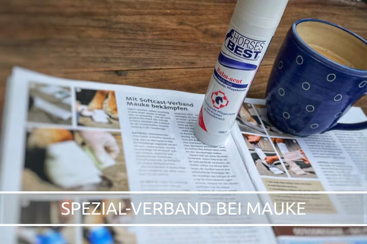 Anleitung: Mauke Verband nach Peter Denius im CAVALLO MAGAZIN 10/23