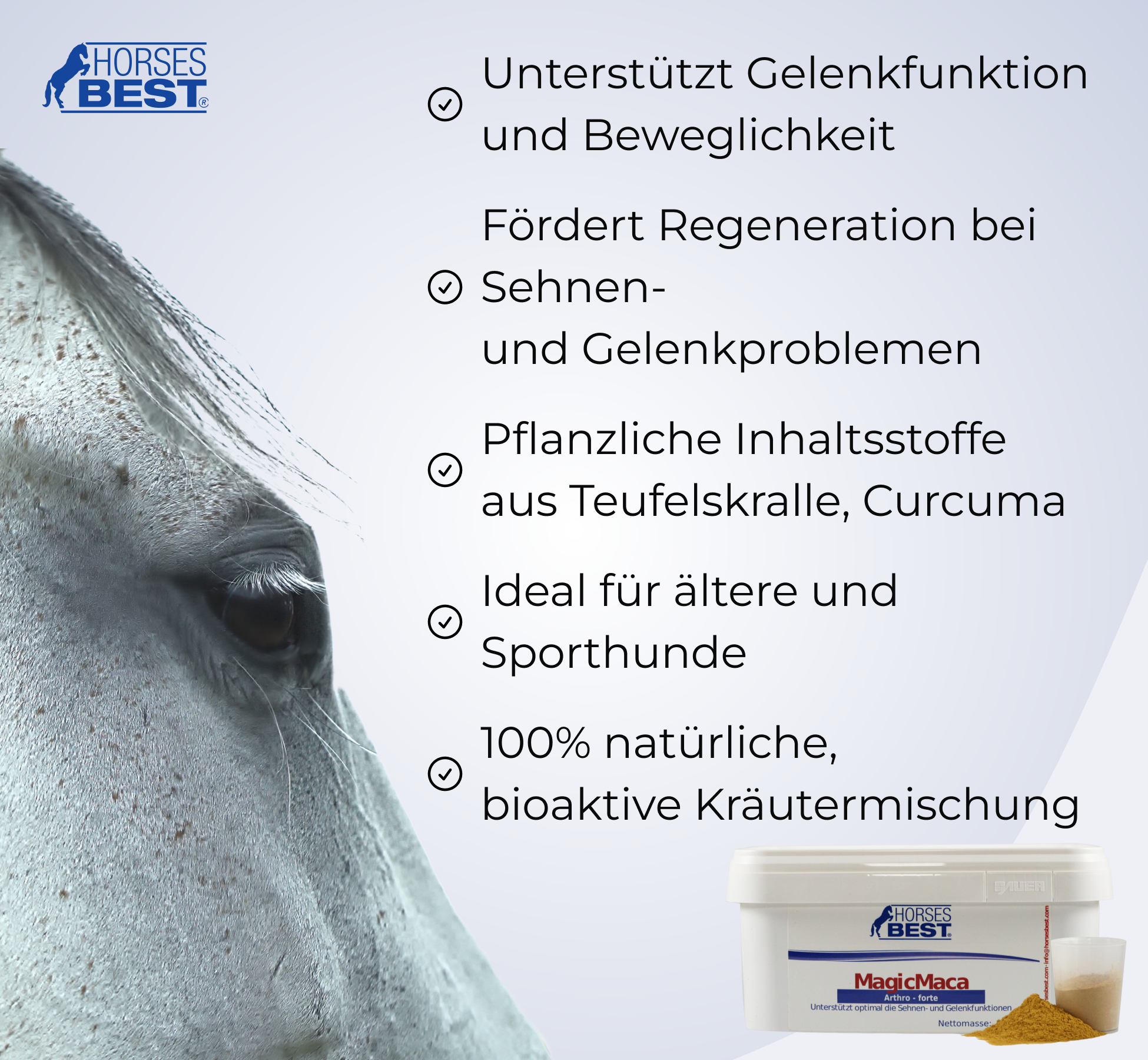 HORSESBEST® MagicMaca ARTHRO FORTE