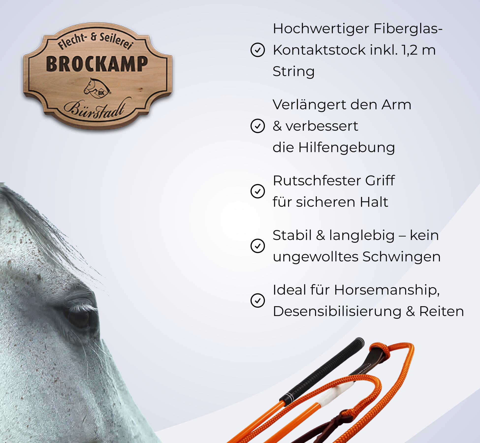 BROCKAMP SET Profi Horsemanship-Stick