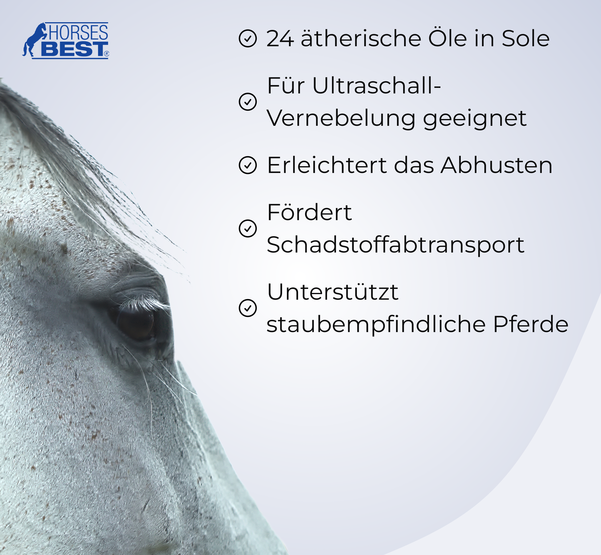 GVS EQUISTARS® Broncho-equine "AIR"