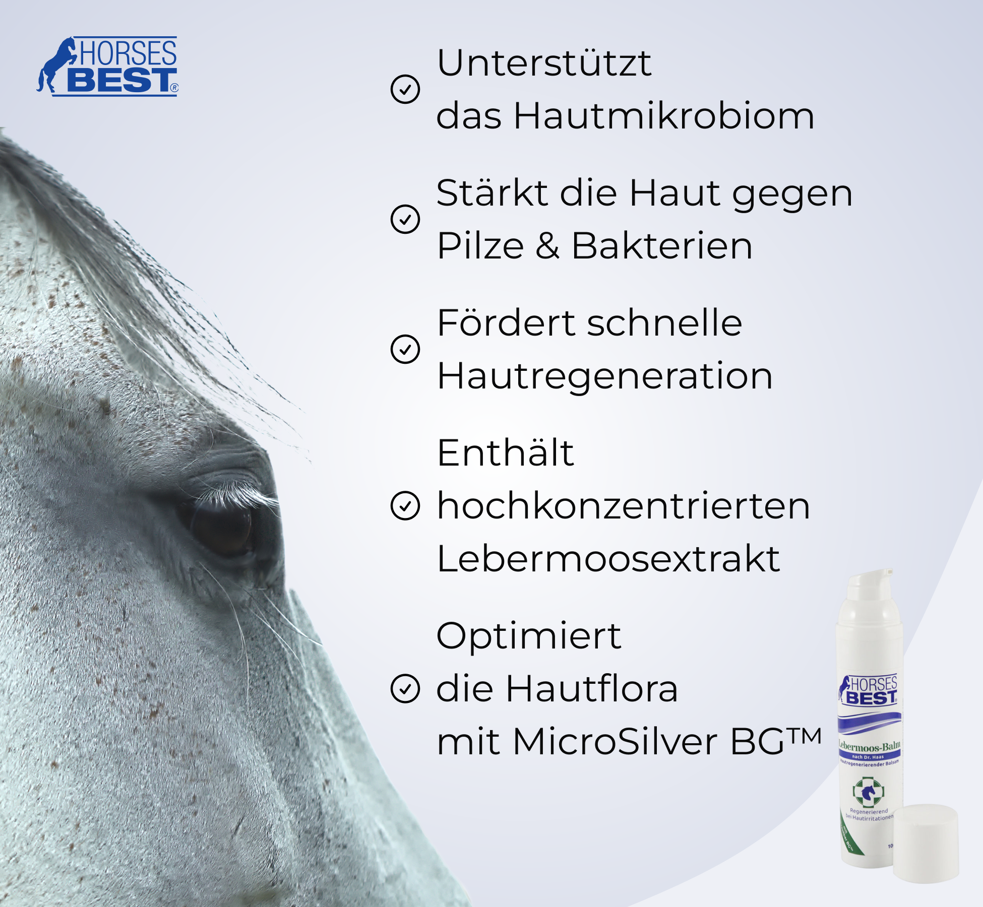 HORSESBEST® Lebermoos-Balm