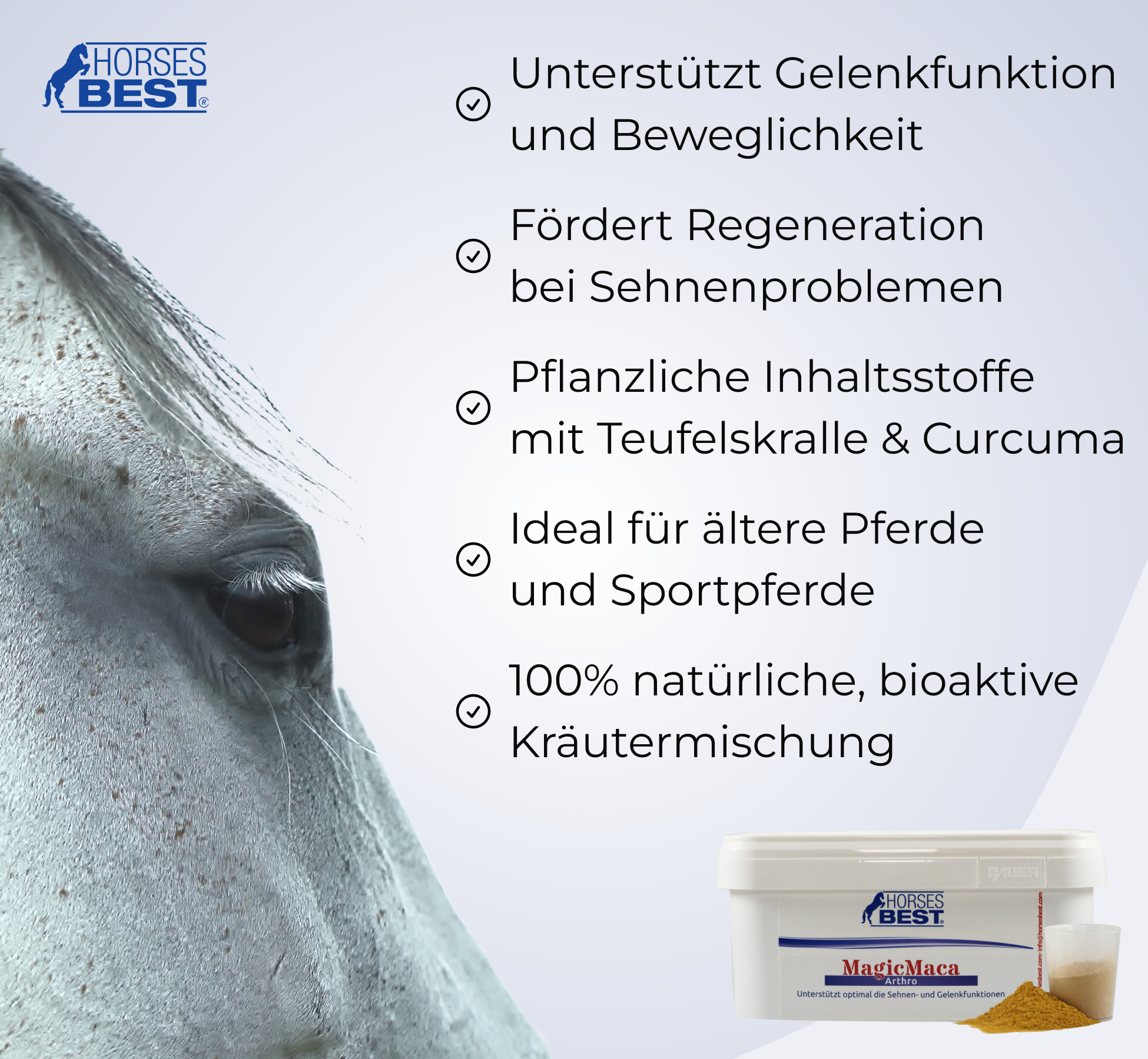HORSESBEST® MagicMaca ARTHRO