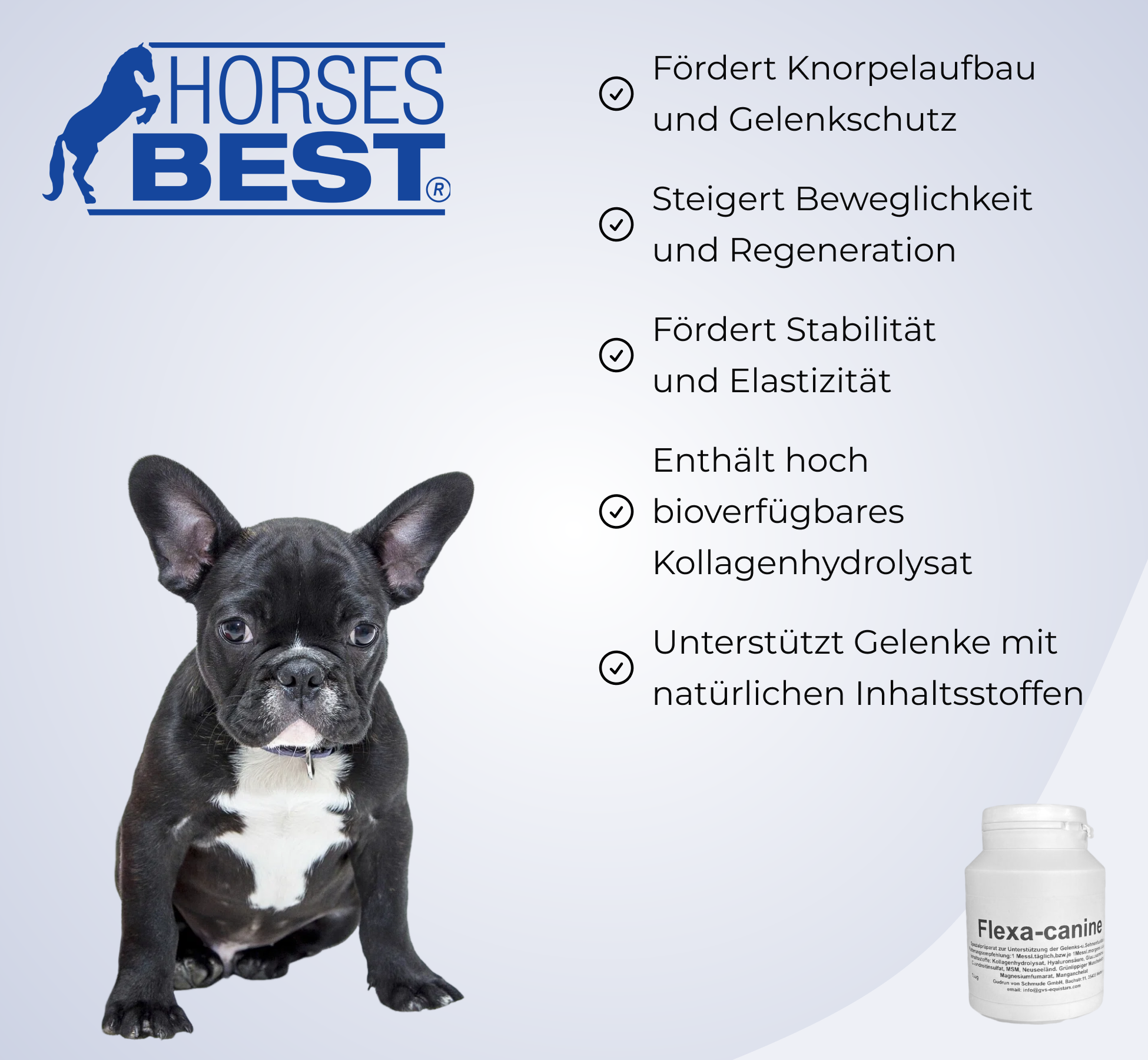 GVS EQUISTARS® Flexa-canine