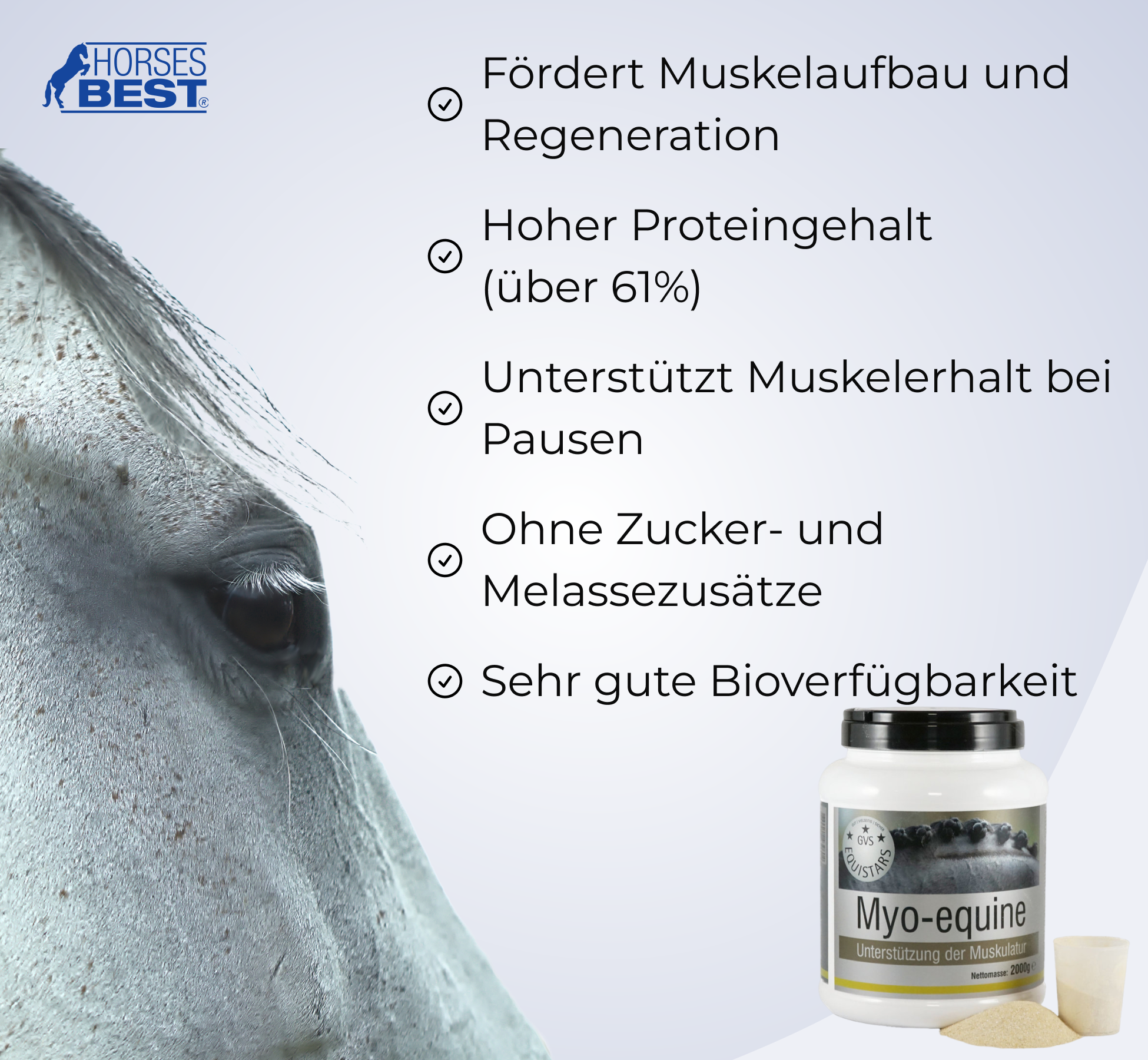 GVS EQUISTARS®, Myo-equine