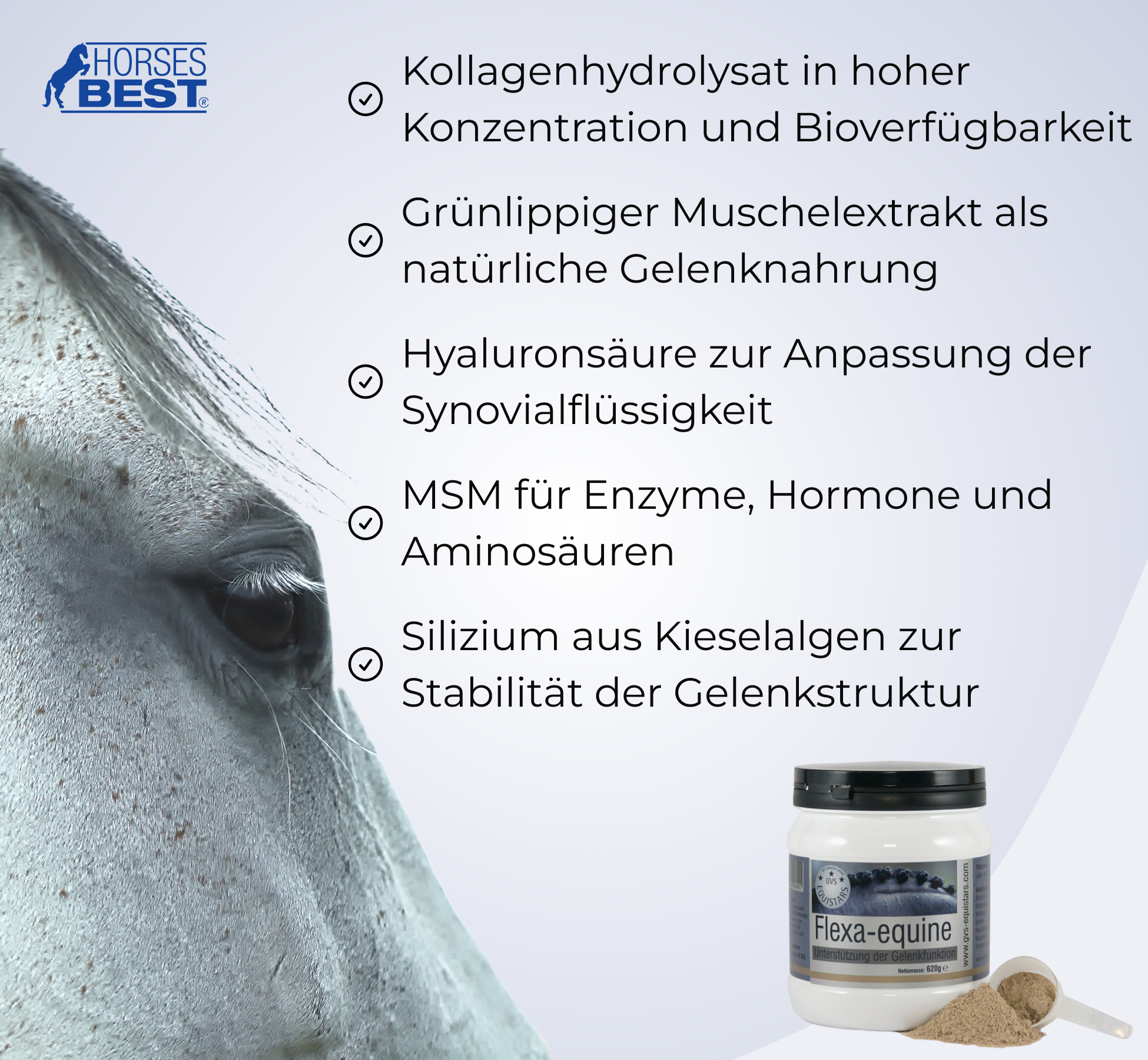 GVS EQUISTARS®, Flexa-equine