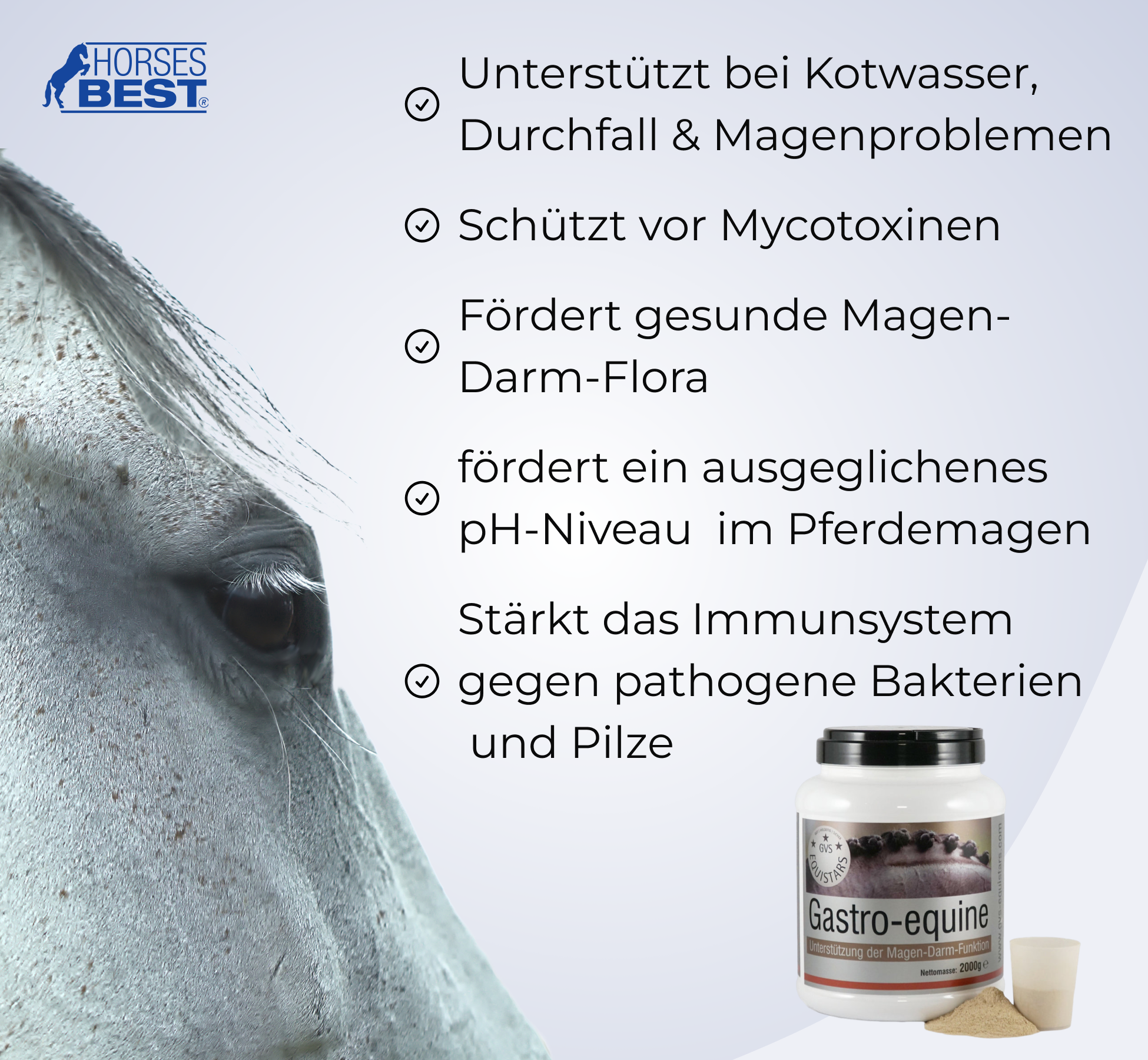 GVS EQUISTARS®, Gastro-equine