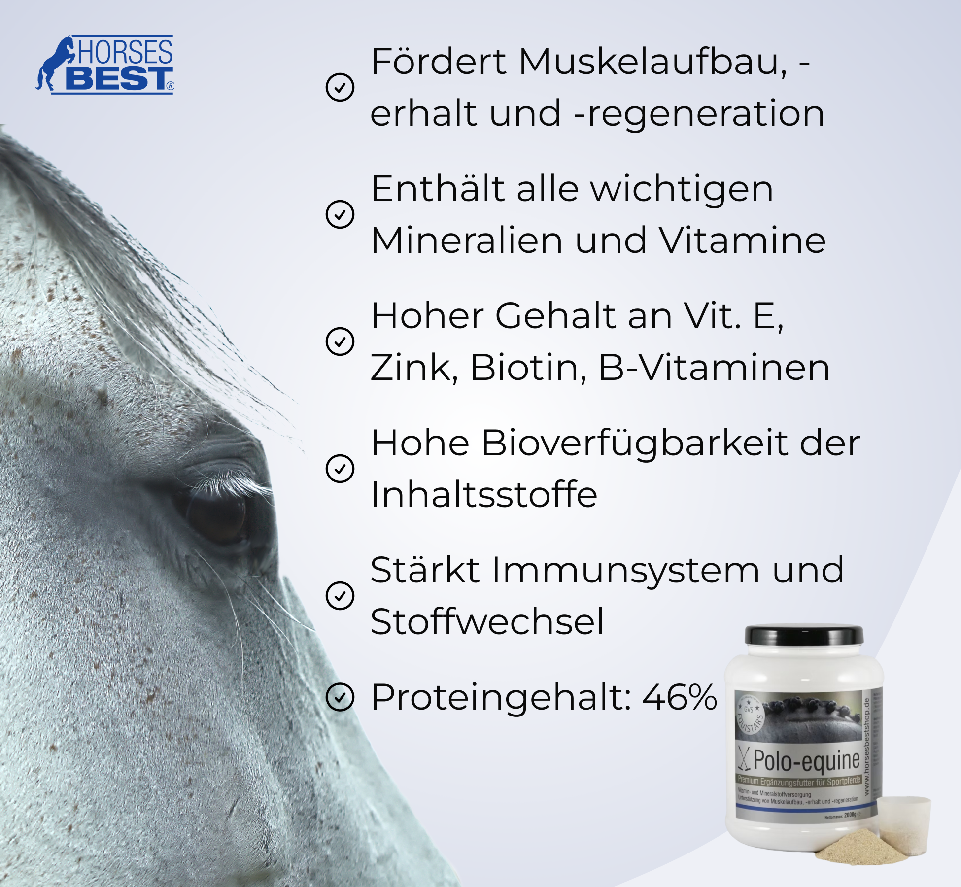 GVS EQUISTARS® Polo-equine