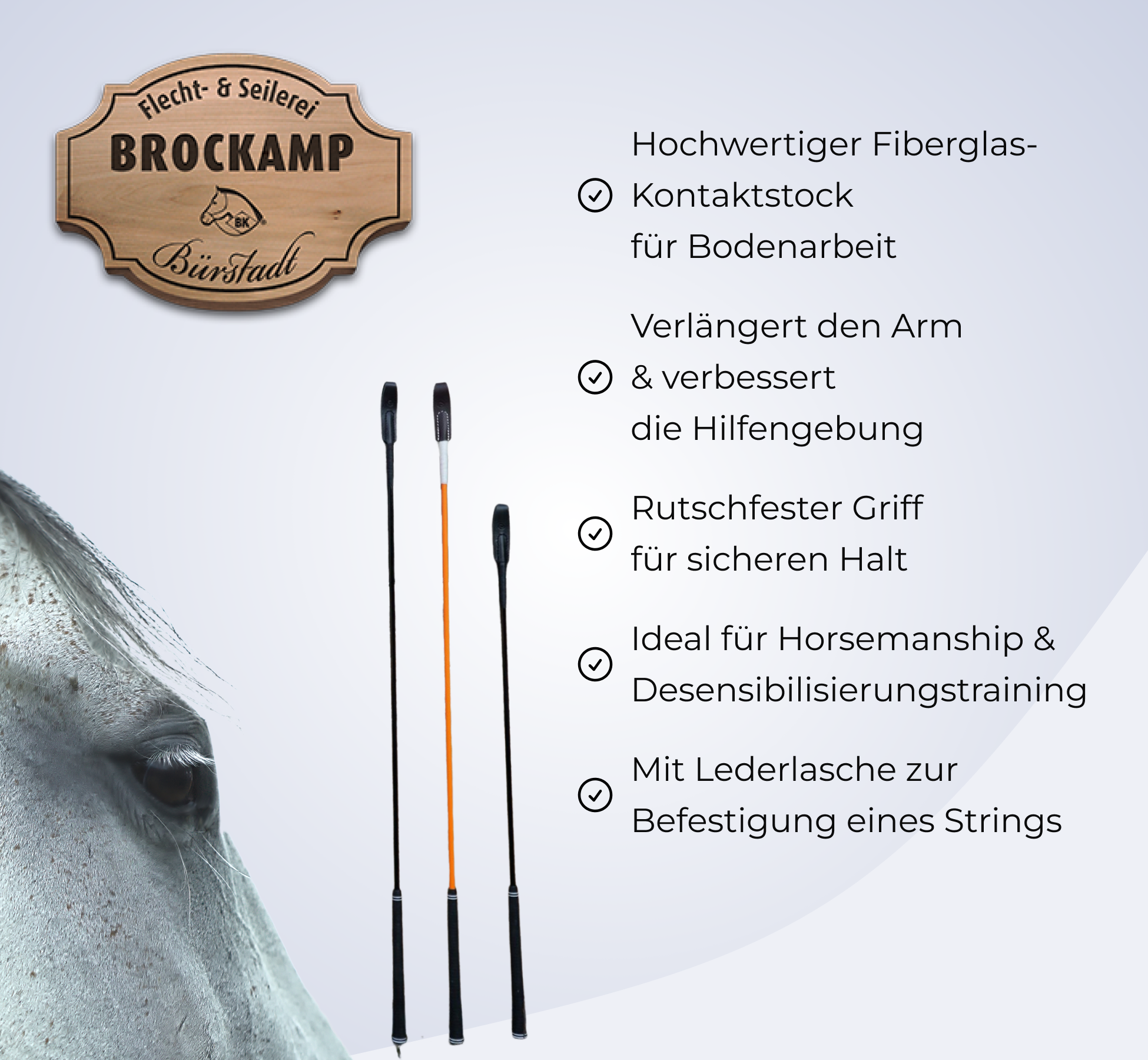 BROCKAMP Profi Horsemanship-Stick