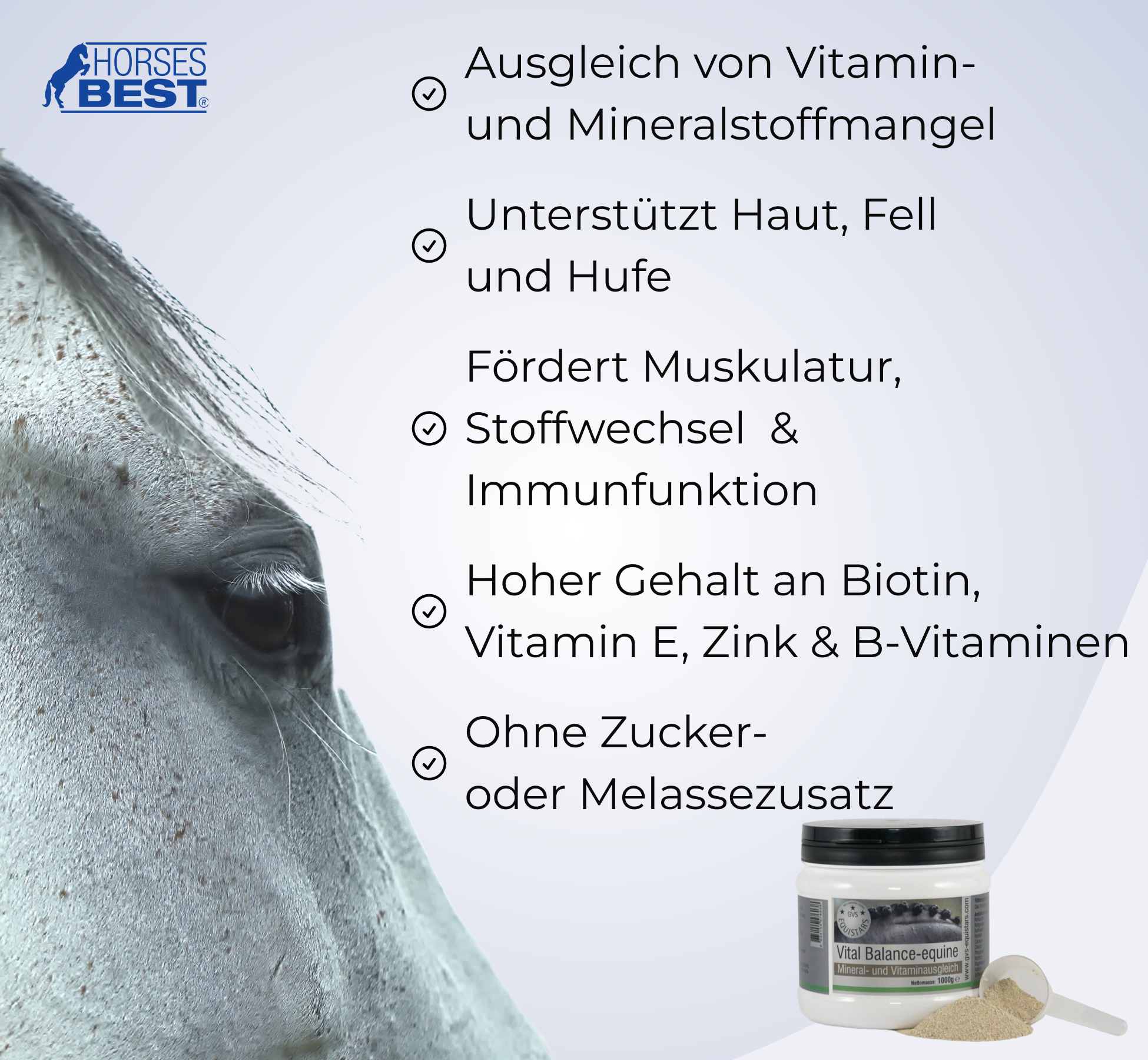 GVS EQUISTARS® Vital Balance-equine